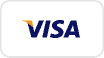 visa icon